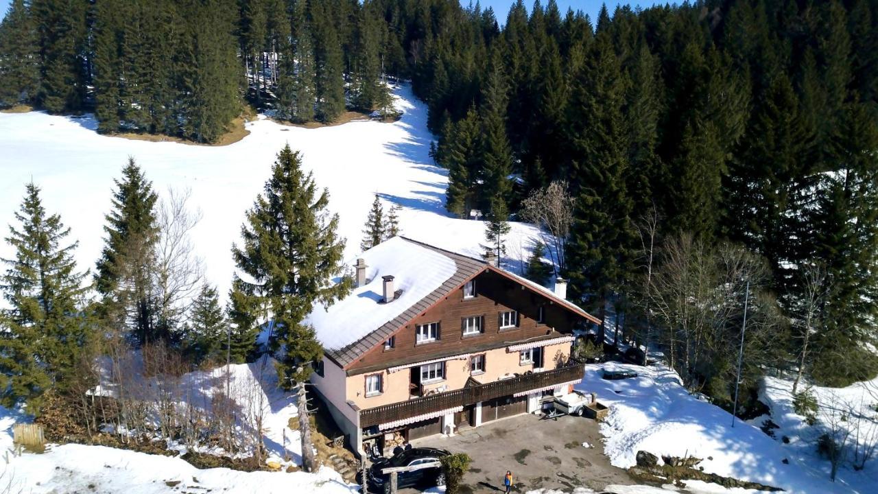 Saentisecho - In Der Natur Zu Hause Urnäsch Eksteriør bilde